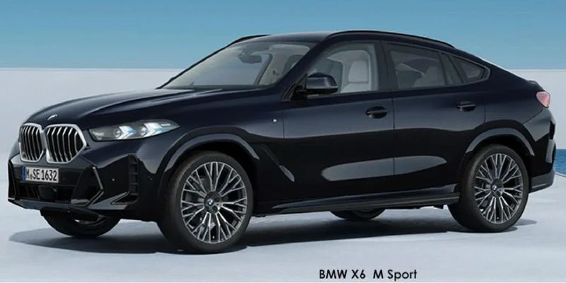 BMW X6